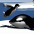 Yeti Sports - Orca Slap